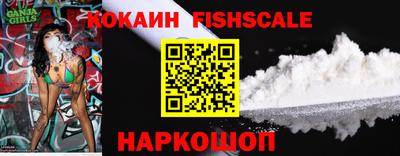 стаф Дубна