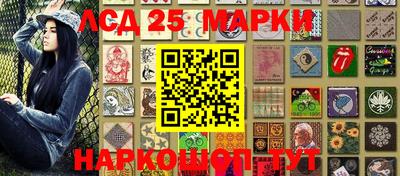 стаф Дубна