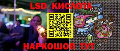 стаф Дубна
