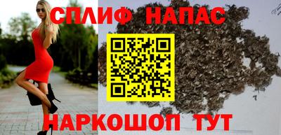 стаф Дубна