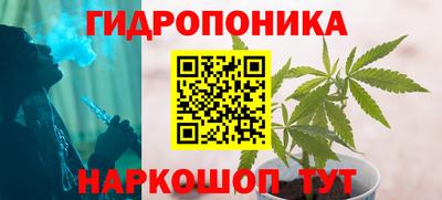 бошки Донецк