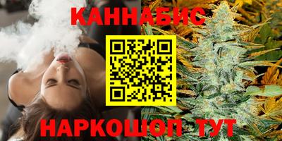 стаф Дубна