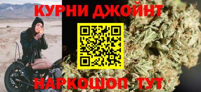 стаф Дубна