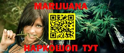 стаф Дубна