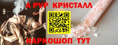 стаф Дубна