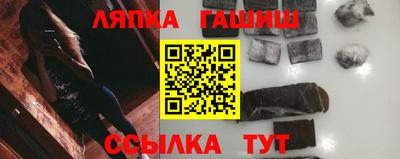 стаф Дубна