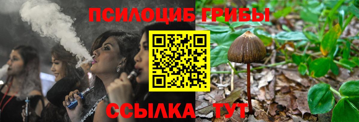 Псилоцибиновые грибы прущие грибы Новороссийск