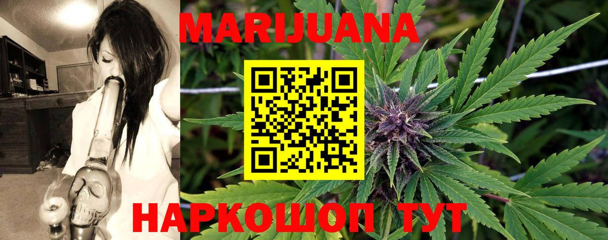 Канабис OG Kush Новороссийск